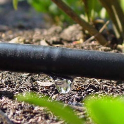 nationale Debatte über Wasser von Marrakesch