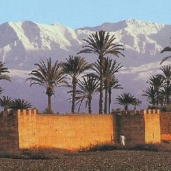 Errichtung des Instituts marokkanische Marrakesch