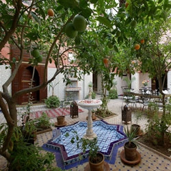 Alternativen Streitbeilegungsverfahren moulay Ali