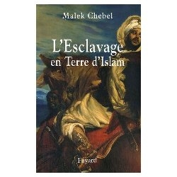 L daß 8217;Sklaverei im Land D daß 8217;Islams Malek Chebel