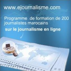 Eine Ausbildung in e-Journalismus demnächst