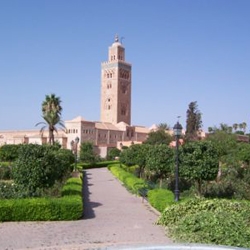 Die Grünflächen, Orte erfolgreicher für die langen nächtlichen natürlich im Sommer in Marrakesch