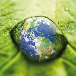 Tage der Sensibilisierung in bezug auf die Umwelt in Marrakesch