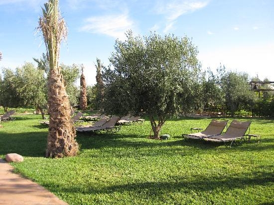 manzil der Schildkröte