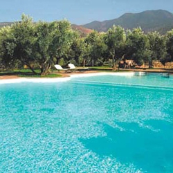 Die Olivenhaine von marigha