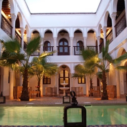 Der Generalsekretär Garten