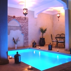 Die Vogel vom Paradies