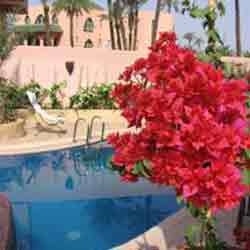 Riad mazal