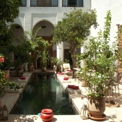 Die rihani Riad & SpA