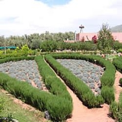 Garten Bio aromatischer der ourika